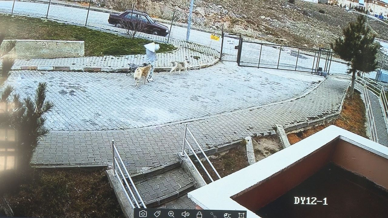 Ankara Çubuk’ta korku dolu anlar: Köpekler çocuklara saldırdı, sahibi olan kadın izledi! 5