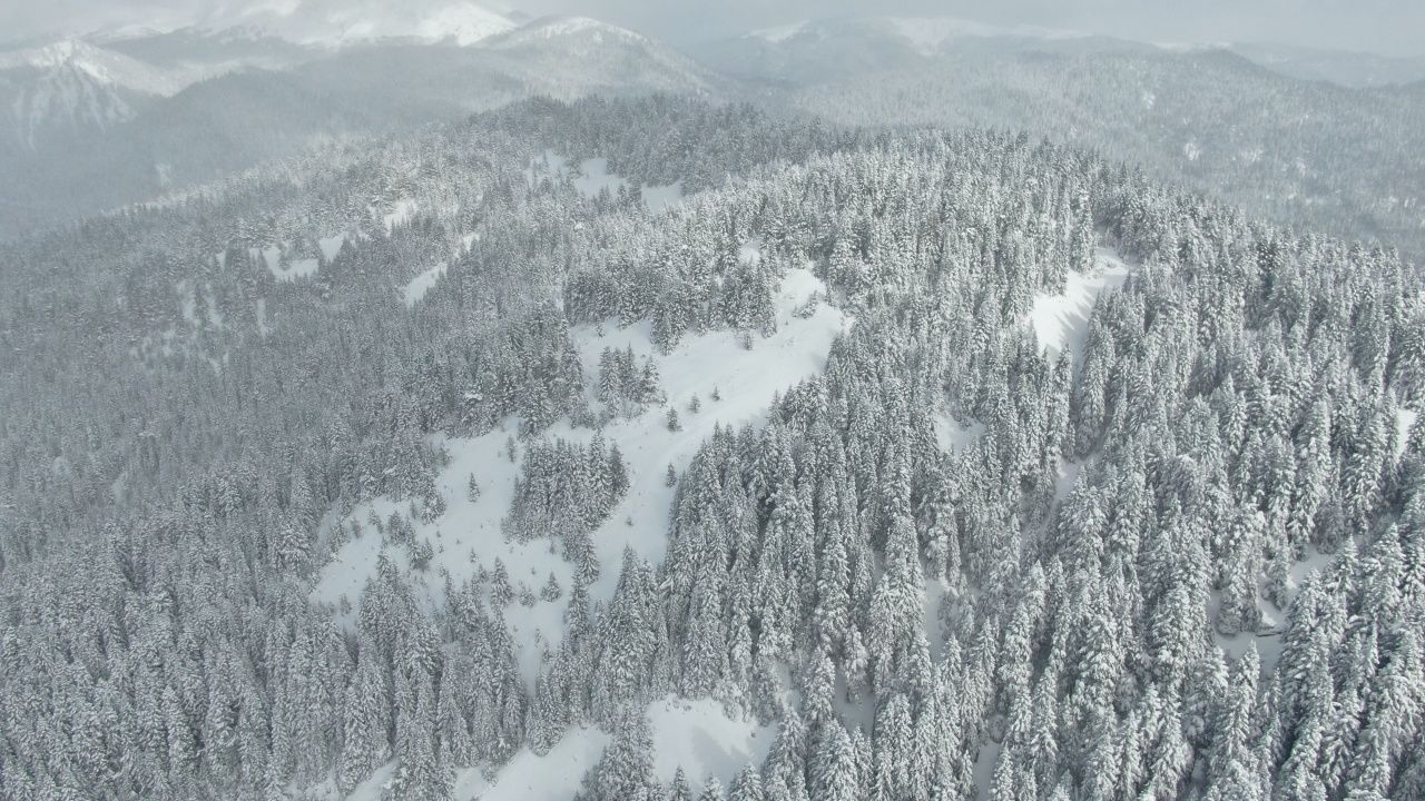 Kastamonu’da nisan sürprizi! Ilgaz Dağı’nda kar 30 santimetreye ulaştı, 22 köy yolu kapandı 2