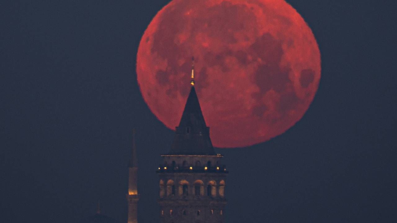 Pembe Ay mest etti: Baharın gelişini simgeliyor ve doğanın uyanışını temsil ediyor 5