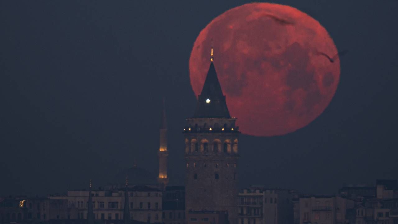 Pembe Ay mest etti: Baharın gelişini simgeliyor ve doğanın uyanışını temsil ediyor 3