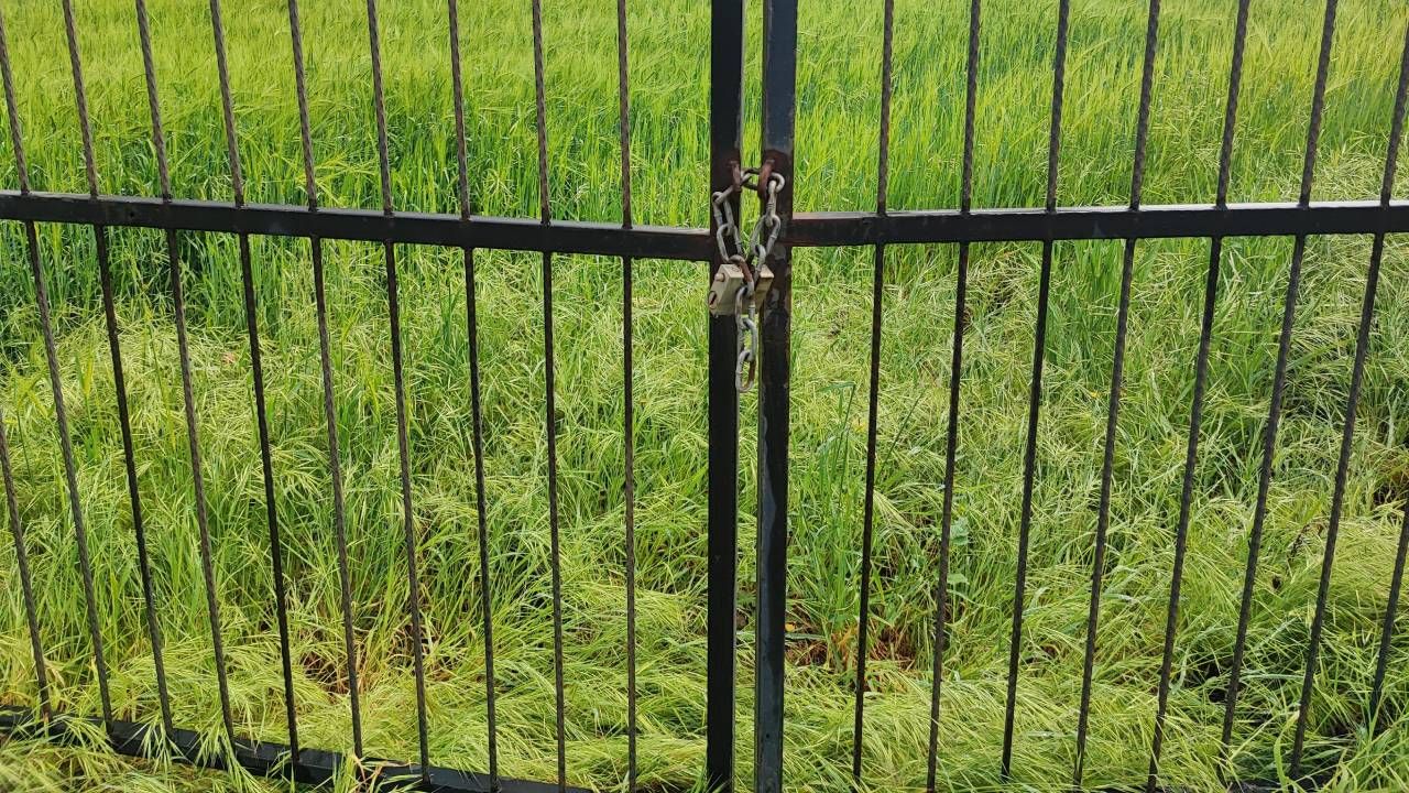 Adanalı çiftçi dört tarafı açık tarlasına demir kapı yerleştirip asma kilit vurdu 6
