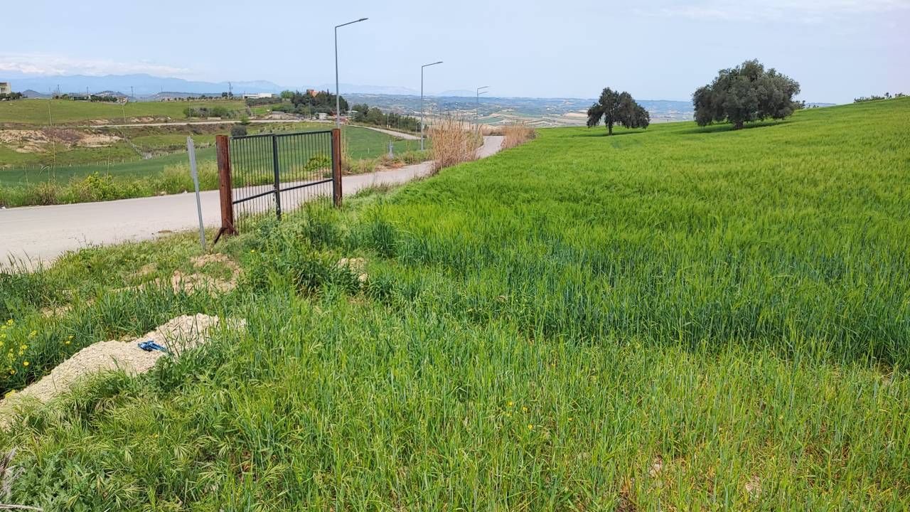 Adanalı çiftçi dört tarafı açık tarlasına demir kapı yerleştirip asma kilit vurdu 5