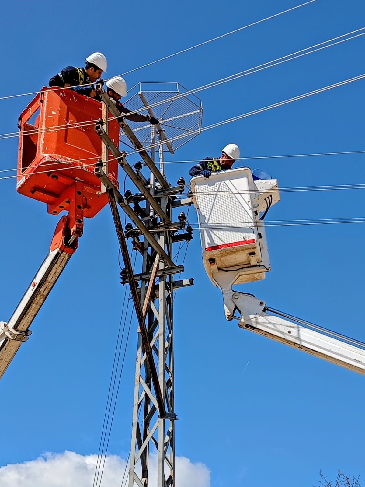 Edirne’de leylekler için elektrik direklerine özel yuvalar kuruldu 1