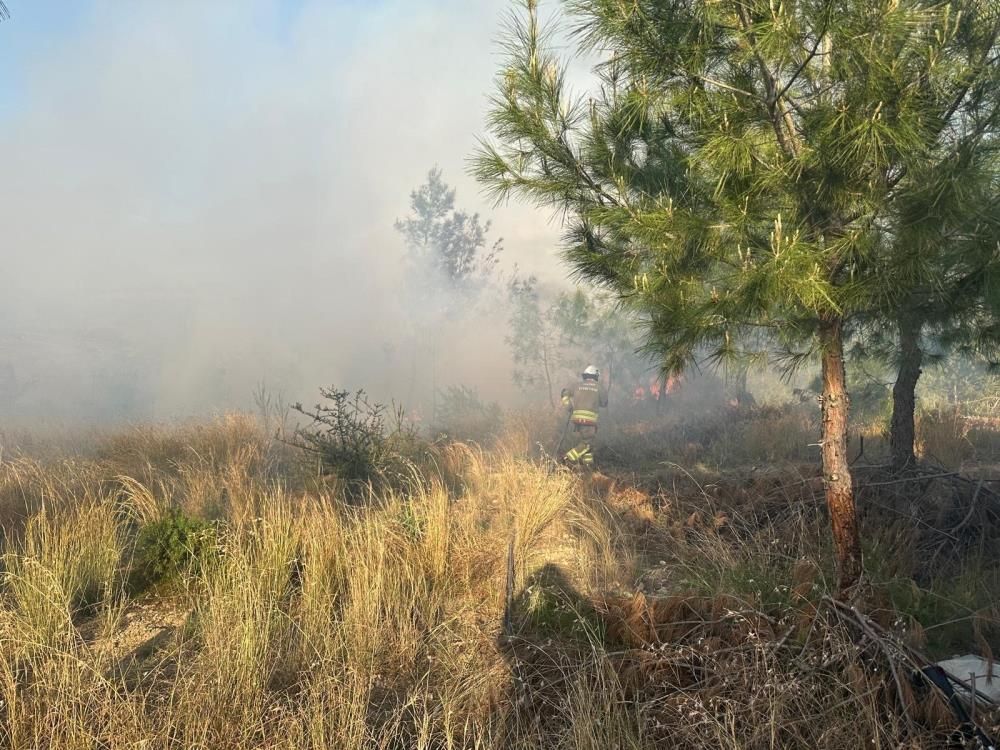 Türkiye'nin bir yanı kara teslim, diğer yanında orman yangını! Hatay’daki orman yangını hızlı müdahaleyle söndürüldü 3