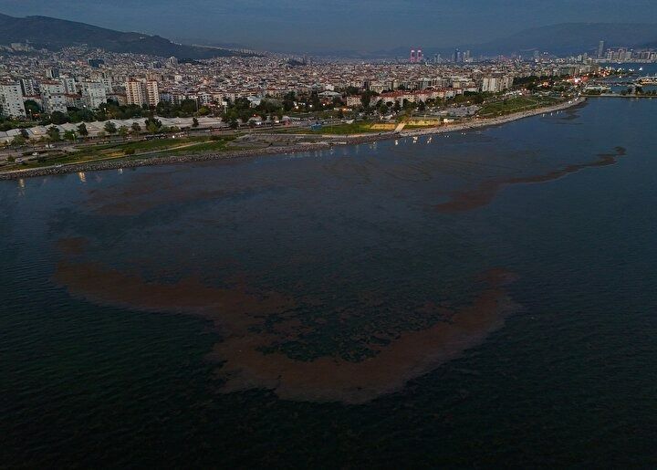 CHP belediyeciliği şaşırtmıyor! İzmir'in Karşıyaka sahilinde deniz marulu alarmı! Kirlilik ve koku tehlikesi! 10