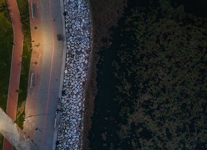 CHP belediyeciliği şaşırtmıyor! İzmir'in Karşıyaka sahilinde deniz marulu alarmı! Kirlilik ve koku tehlikesi! 2