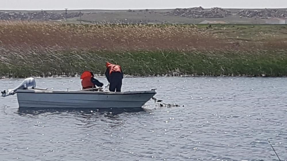 Eskişehir’de istilacı balık alarmı: Sakaryabaşı’nda 5 bin 376 balık yakalandı 1