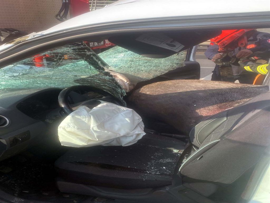 Gaziantep’te feci kaza: Başıboş at sivil polis aracına çarptı, 2 polis yaralandı 2