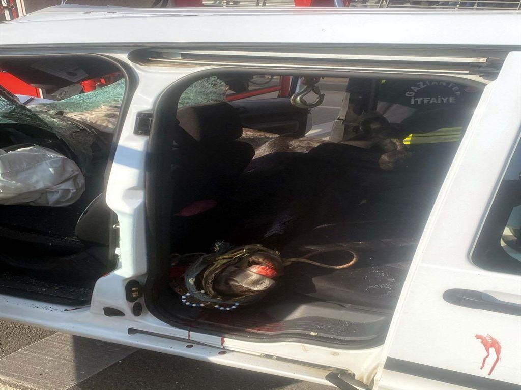 Gaziantep’te feci kaza: Başıboş at sivil polis aracına çarptı, 2 polis yaralandı 6