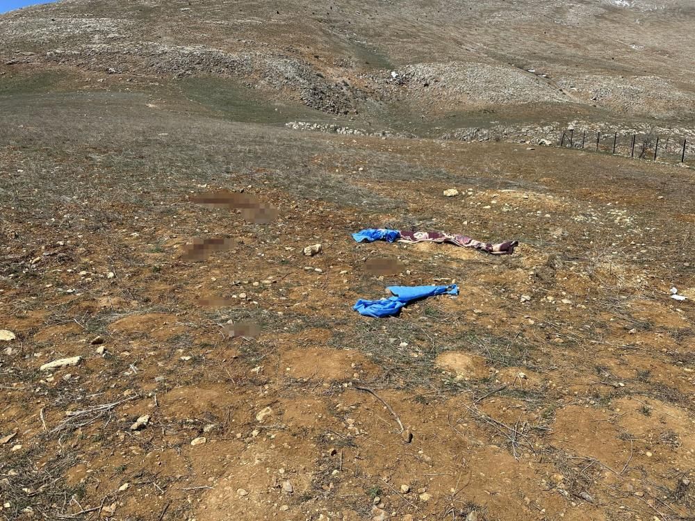 Kayseri’de başıboş köpek faciası: 72 yaşındaki Mustafa Ö. hayatını kaybetti 3