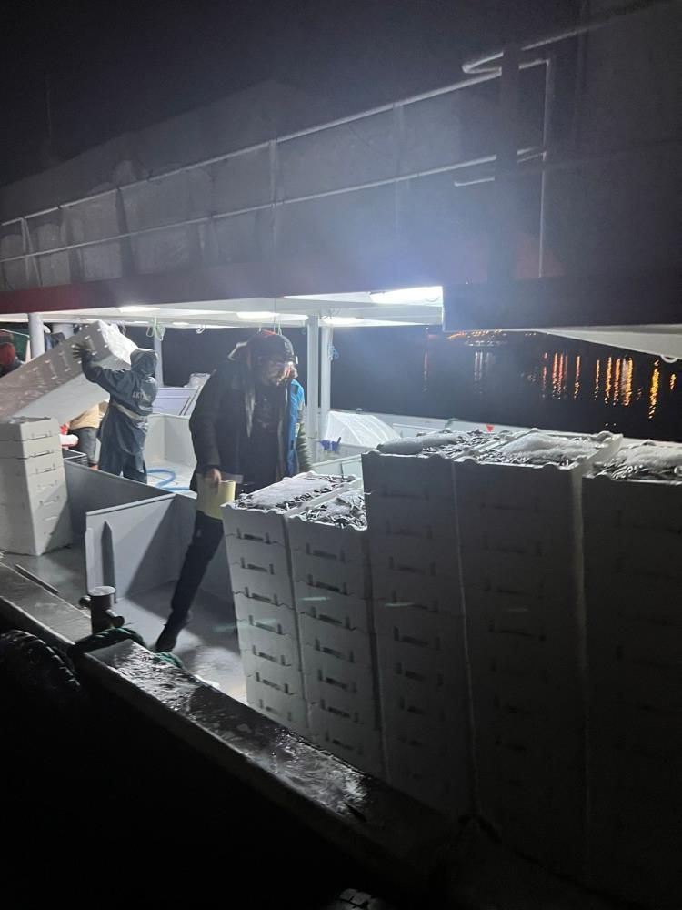 Rize’de yasadışı avcılığa 91 bin TL ceza: 6,5 ton balığa el kondu 2