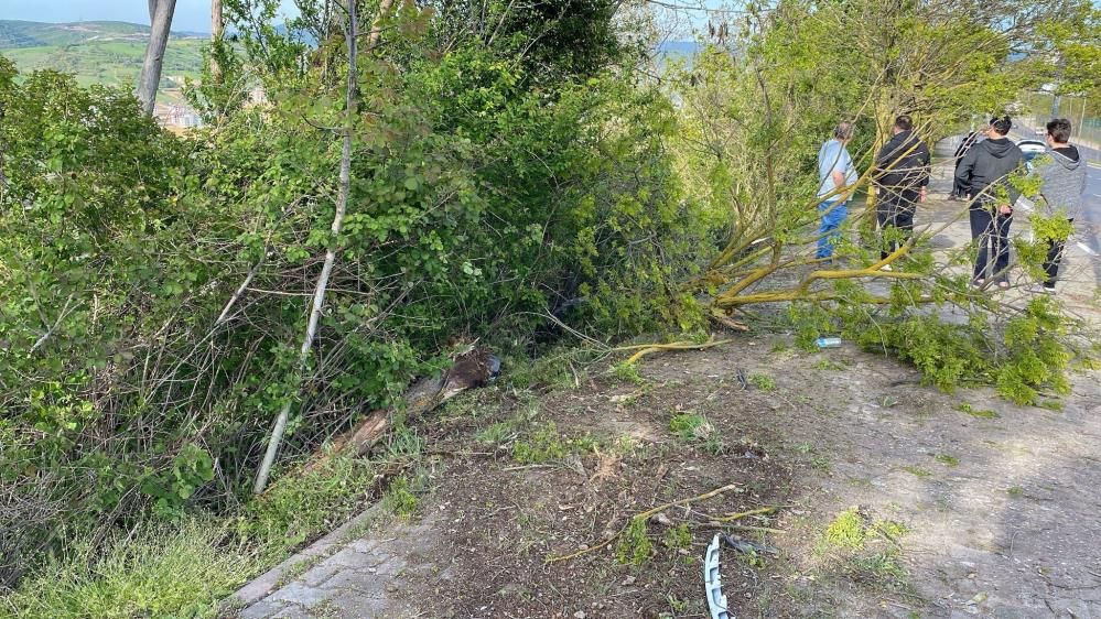 İzmit’te korkunç kaza: Otomobil 120 metre sürüklendi, şarampole uçtu! 11