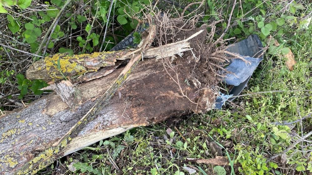 İzmit’te korkunç kaza: Otomobil 120 metre sürüklendi, şarampole uçtu! 10