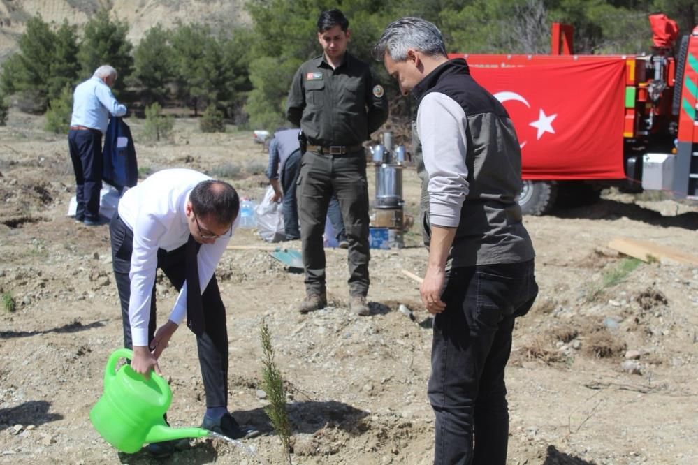 Kastamonu Tosya’da emekli öğretmenlerden doğaya vefa: 200 fidanla hatıra ormanı 1