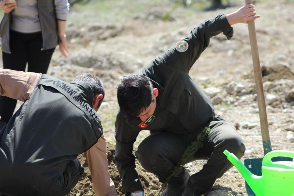 Kastamonu Tosya’da emekli öğretmenlerden doğaya vefa: 200 fidanla hatıra ormanı 2