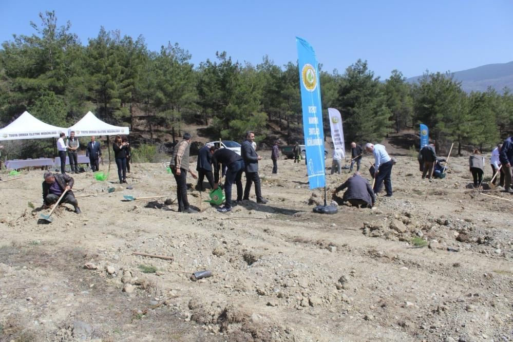 Kastamonu Tosya’da emekli öğretmenlerden doğaya vefa: 200 fidanla hatıra ormanı 4