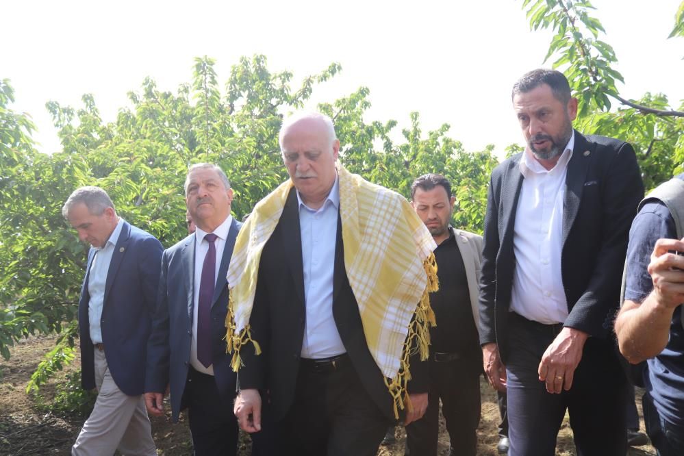 İzmir’de don felaketi: Kiraz, üzüm ve meyve ağaçları zarar gördü 3