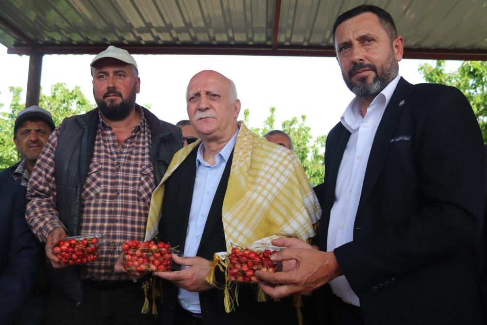 İzmir’de don felaketi: Kiraz, üzüm ve meyve ağaçları zarar gördü 5