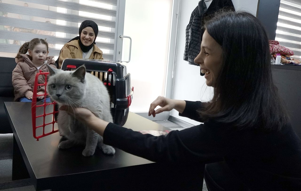 Akçaabatlı anne kız, kayıp kedileri ‘Badem’i 10 gün sonra bulanı altınla ödüllendirdi 6
