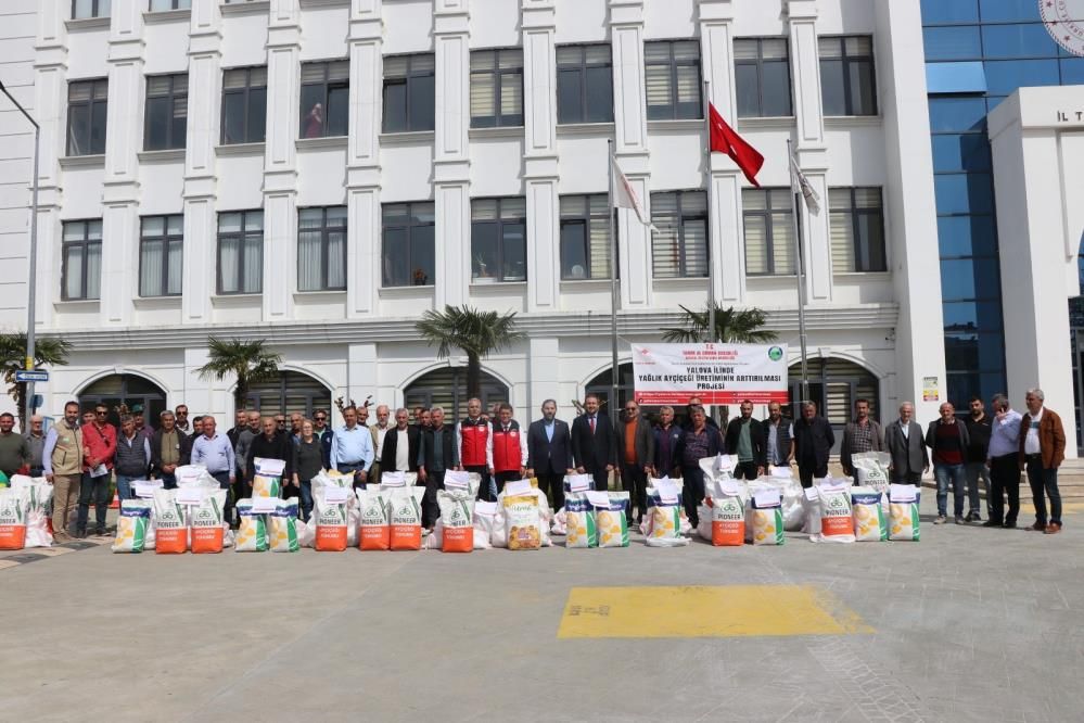Yalova’da çiftçilere 1 ton 890 kilo ayçiçeği tohumu: 4 bin 200 dekar alan ekilecek 1
