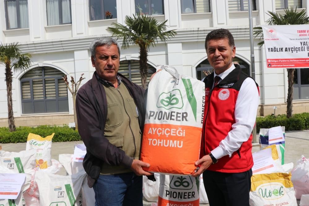 Yalova’da çiftçilere 1 ton 890 kilo ayçiçeği tohumu: 4 bin 200 dekar alan ekilecek 5