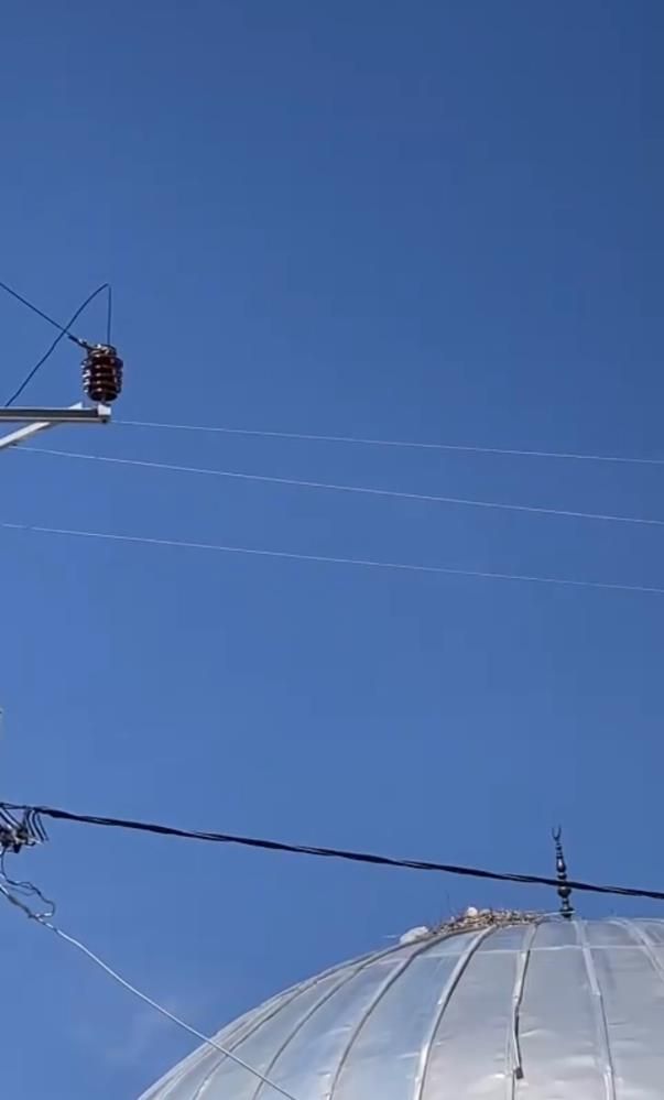 Tokat Turhal’da leylek trajedisi: Elektrik teline çarpan anne leylek öldü 3