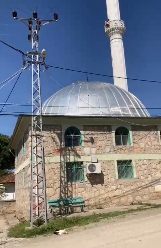 Tokat Turhal’da leylek trajedisi: Elektrik teline çarpan anne leylek öldü 2