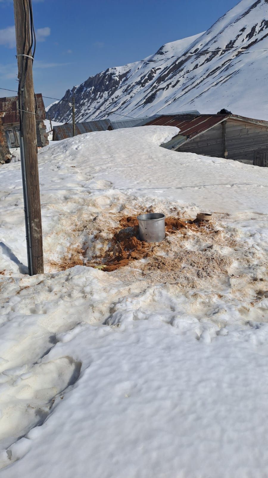 Rize'de kış uykusundan uyanan ayılar evlere dadandı, 30 hanede yiyecek aramışlar 1