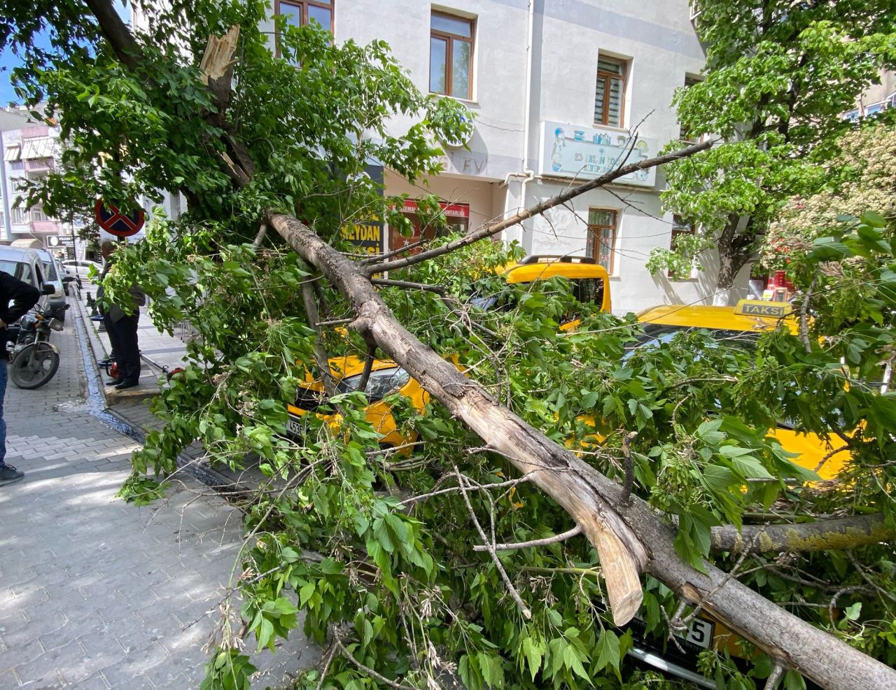 Çanakkale’de fırtına paniği! Kırılan ağaç dalı taksilere zarar verdi 6