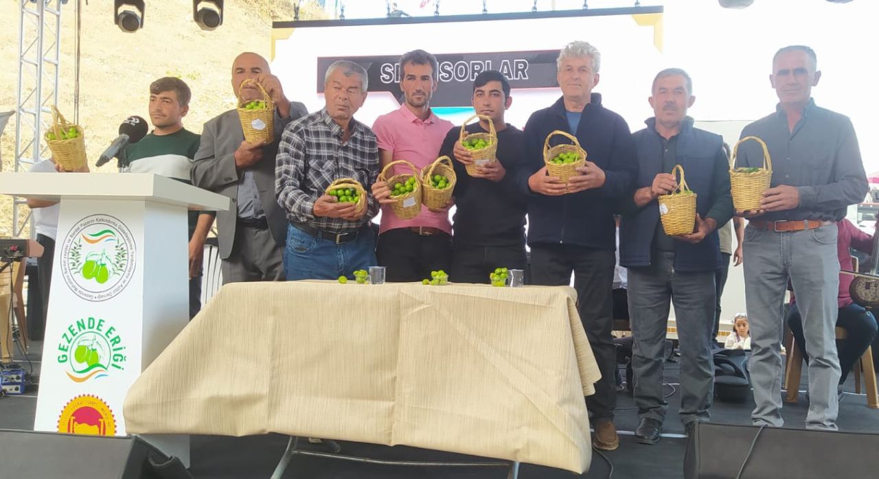 Mersin’de 15. Gezende Erik Festivali renkli anlara sahne oldu 1