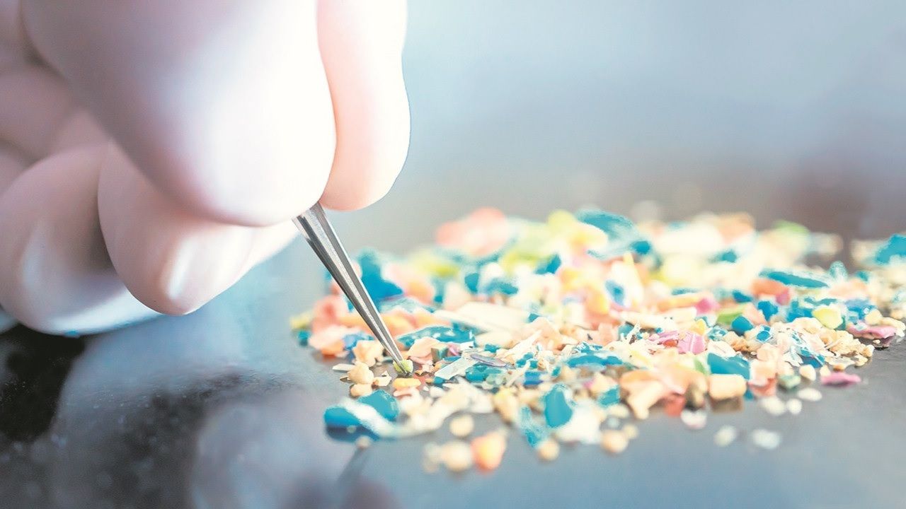 Şok eden araştırma: Beynimizde biriken mikroplastik miktarı 8 yılda yüzde 50 arttı! Sağlığımız ciddi tehdit altında! 4