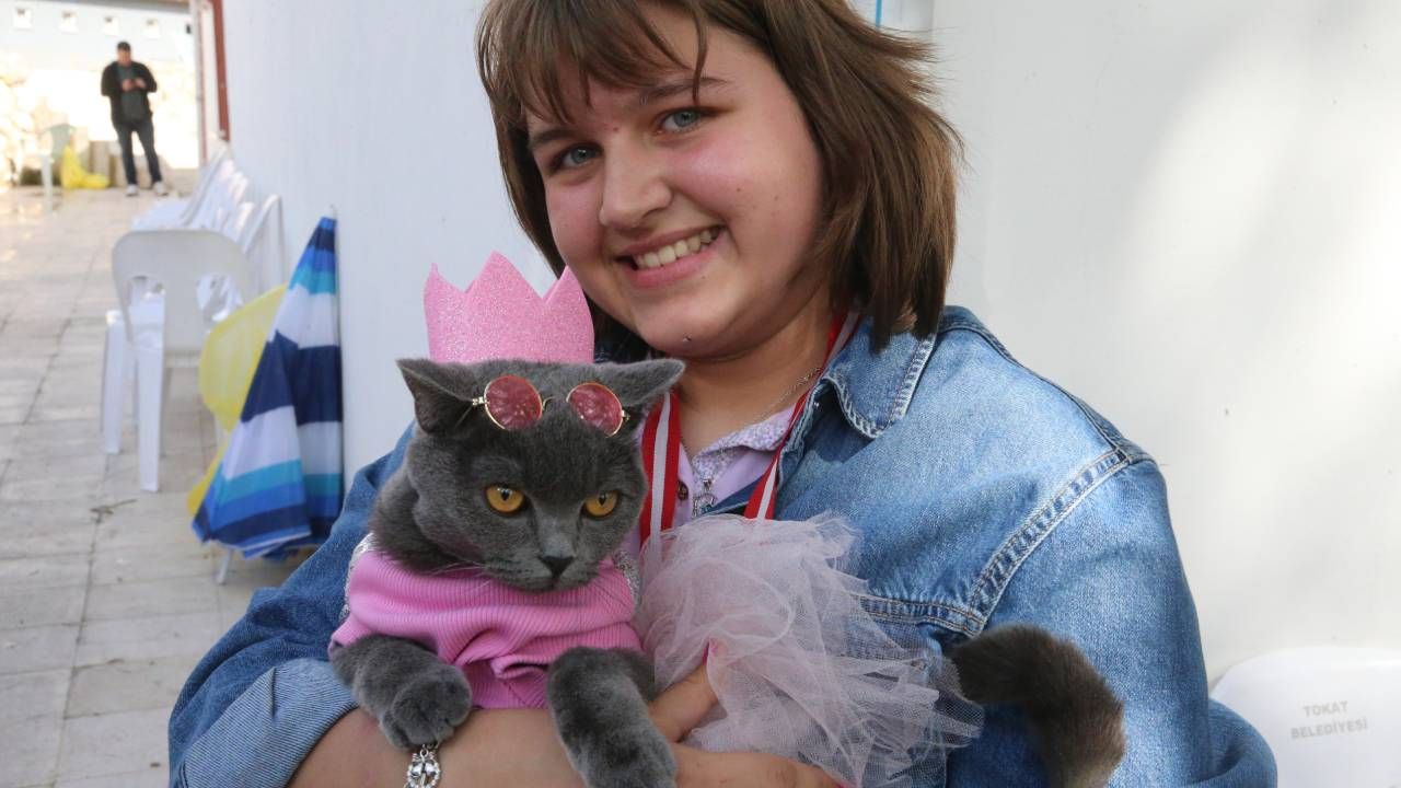 Tokat'ta kedi güzellik yarışması düzenlendi, 26 kedi podyuma çıktı 10