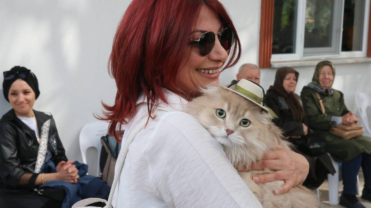Tokat'ta kedi güzellik yarışması düzenlendi, 26 kedi podyuma çıktı 4