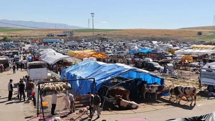 Kurban pazarları kurulmaya başlandı: Peki fiyatlarda durum nasıl? 1