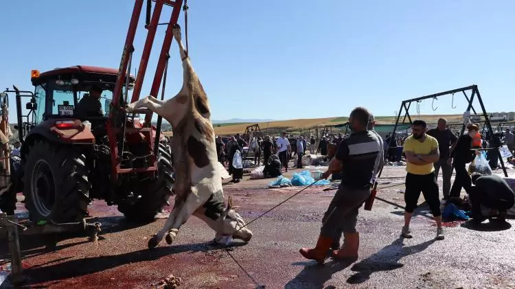 Kurban pazarları kurulmaya başlandı: Peki fiyatlarda durum nasıl? 20