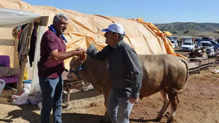 Kurban pazarları kurulmaya başlandı: Peki fiyatlarda durum nasıl? 23