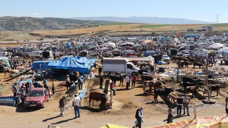 Kurban pazarları kurulmaya başlandı: Peki fiyatlarda durum nasıl? 24