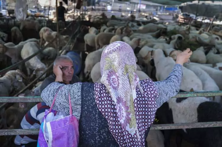 Kurban pazarları kurulmaya başlandı: Peki fiyatlarda durum nasıl? 9