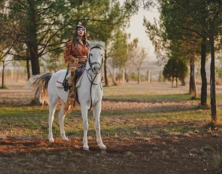 Rojin’den barış sürecine destek: Cumhurbaşkanımızın ve Bahçeli’nin iradesi kıymetli, annelerin gözyaşı dursun artık 4