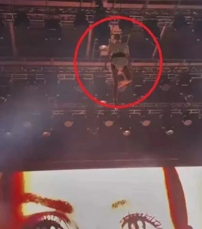 Derya Uluğ sahneye uçarak geldi! Elbisesinin ağırlığı şaşkına çevirdi 5