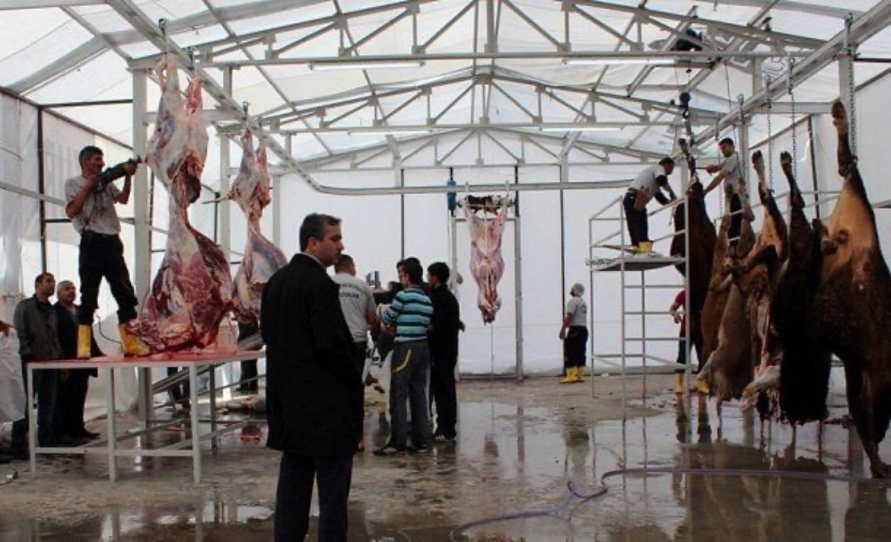 Cezalar belli oldu! Sokakta kurban kesip atıklarını gömenlere 16.609 TL lira ceza 2
