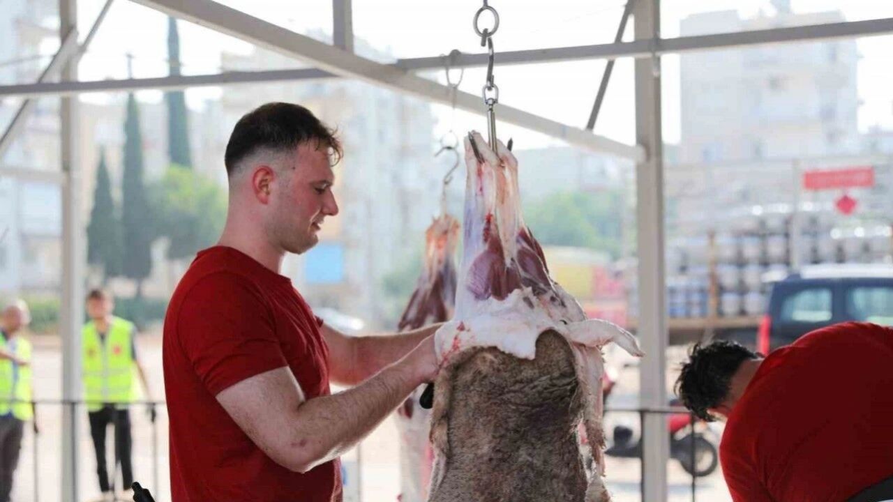 Cezalar belli oldu! Sokakta kurban kesip atıklarını gömenlere 16.609 TL lira ceza 5