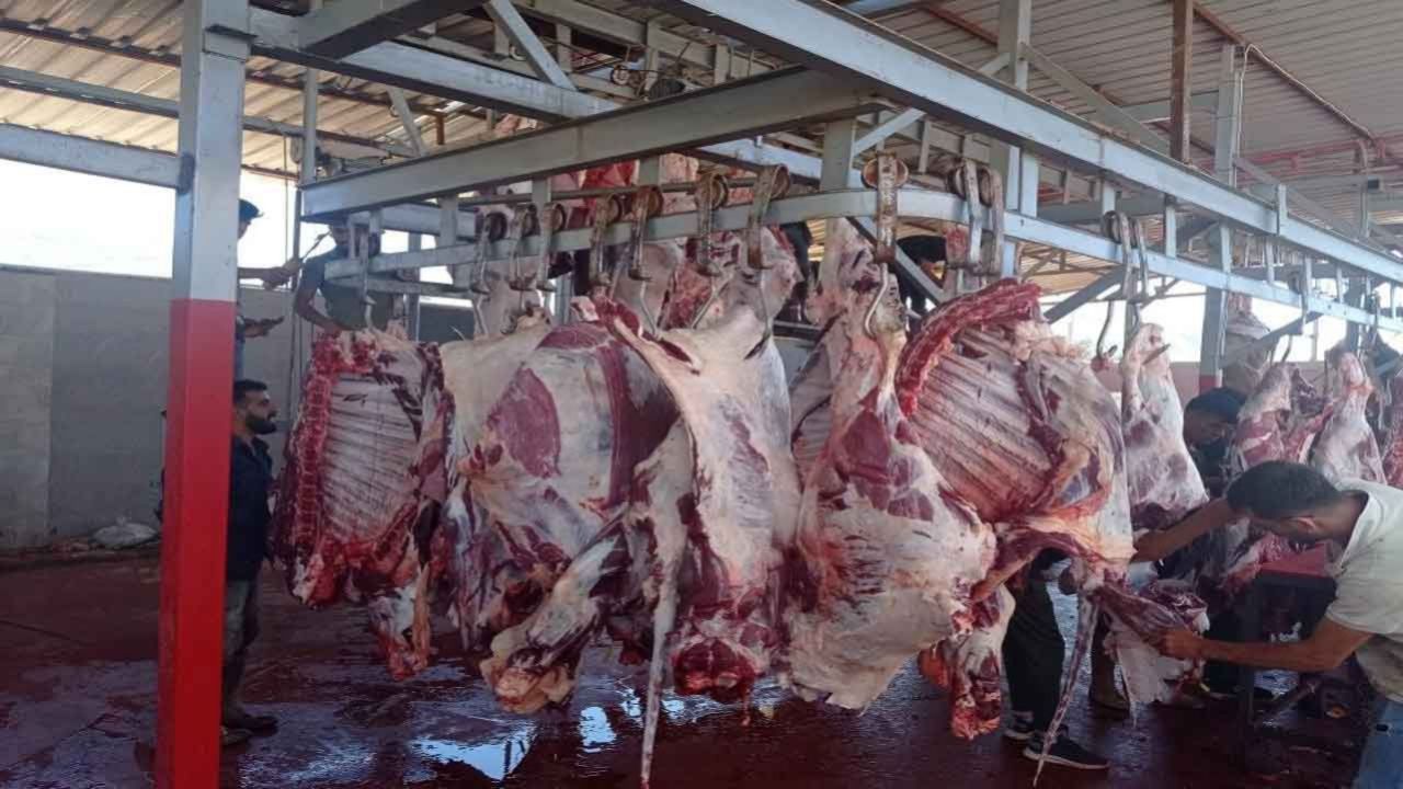 Cezalar belli oldu! Sokakta kurban kesip atıklarını gömenlere 16.609 TL lira ceza 6