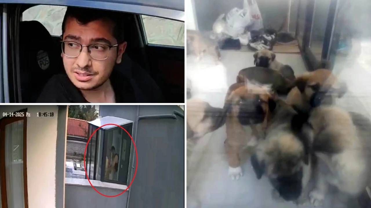 Köpek sapığı doktor Muhammet Mustafa Duman'ın telefonundan 43 bin müstehcen görüntü çıktı 5