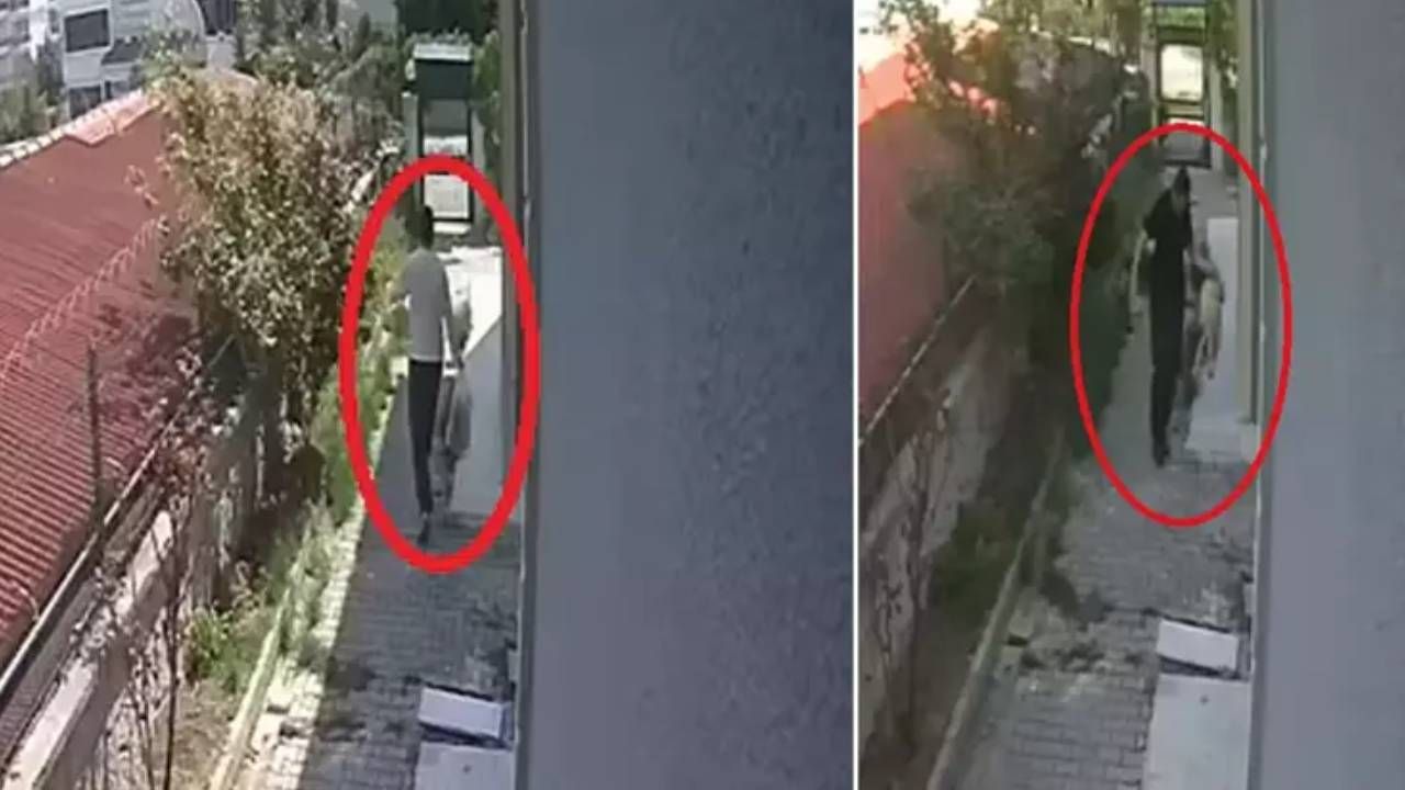 Köpek sapığı doktor Muhammet Mustafa Duman'ın telefonundan 43 bin müstehcen görüntü çıktı 4