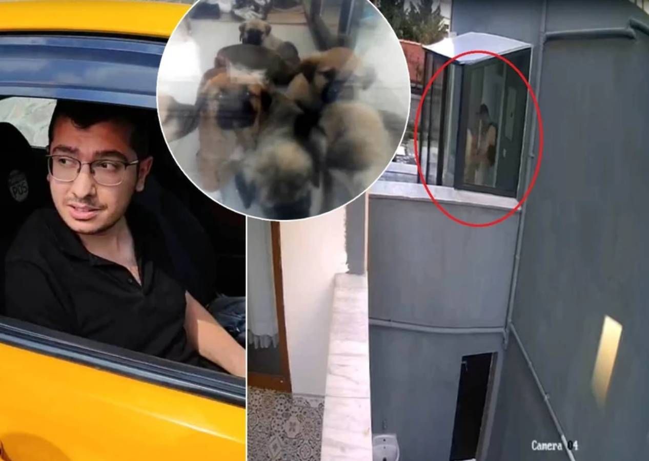 Köpek sapığı doktor Muhammet Mustafa Duman'ın telefonundan 43 bin müstehcen görüntü çıktı 1