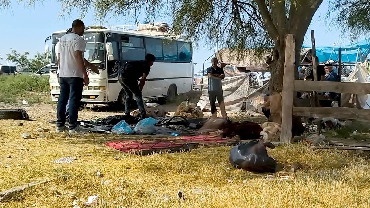Kaçak kurban kesimi her yerde, yasağa aldırış etmediler; boş araziler, yol kenarları, ağaç altları... 2