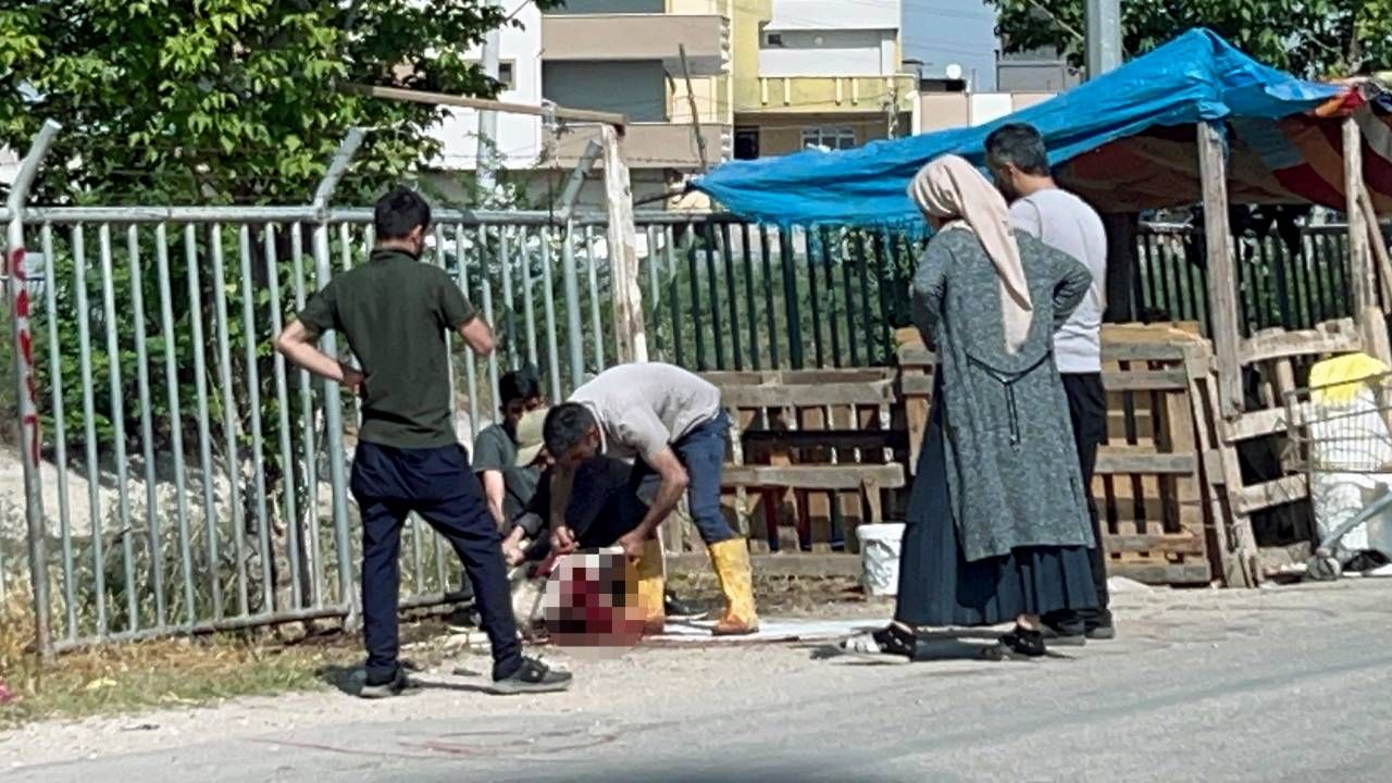 Kaçak kurban kesimi her yerde, yasağa aldırış etmediler; boş araziler, yol kenarları, ağaç altları... 1