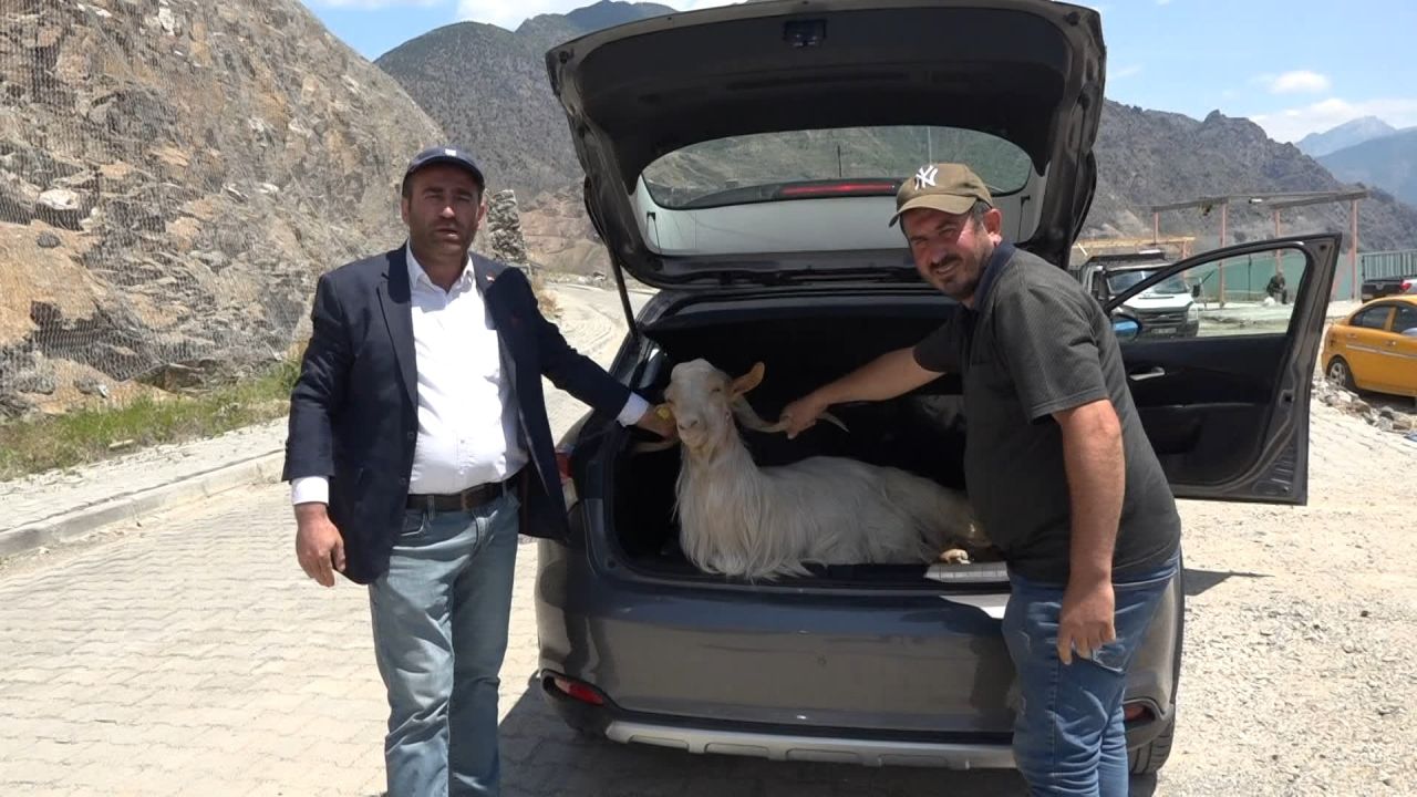 Kaçak kurban kesimi her yerde, yasağa aldırış etmediler; boş araziler, yol kenarları, ağaç altları... 3