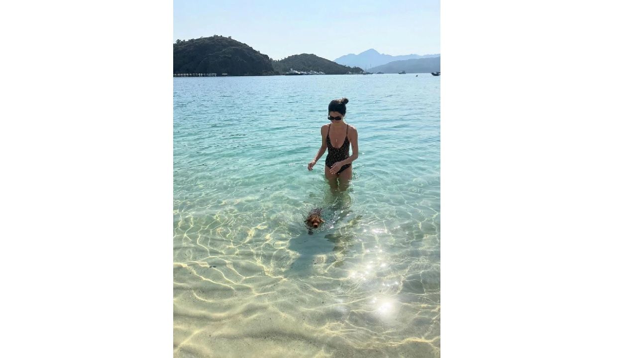 Nesrin Cavadzade'den hayvan sevgisi eleştirilerine net yanıt: "Dolce'yi satın almadım, evimde iki tekir kedi de var" 1